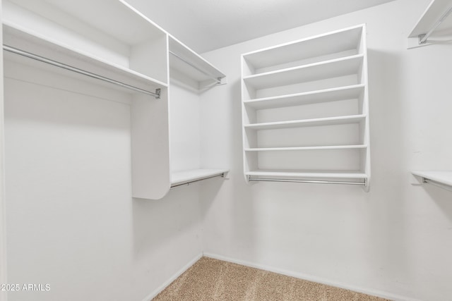 walk in closet featuring light carpet