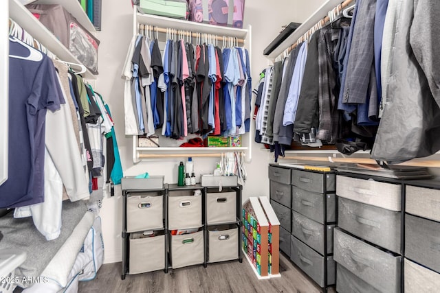 4142 E Sandy Way, Gilbert, AZ 85297 - spacious closet with wood finished floors