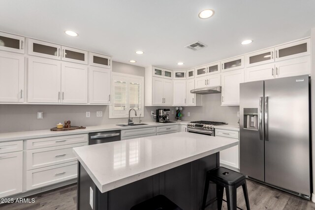 4142 E Sandy Way, Gilbert, AZ 85297 - kitchen featuring appliances with stainless steel finishes, under cabinet range hood, a sink, white cabinetry, and light countertops