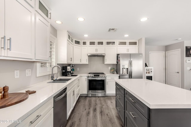 4142 E Sandy Way, Gilbert, AZ 85297 - kitchen with appliances with stainless steel finishes, under cabinet range hood, a sink, white cabinets, and recessed lighting