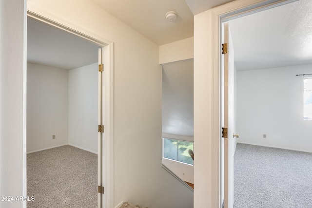 hall featuring carpet floors and a healthy amount of sunlight