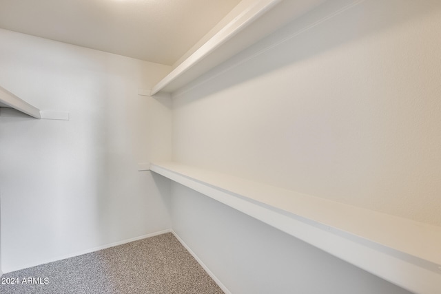 walk in closet featuring carpet floors