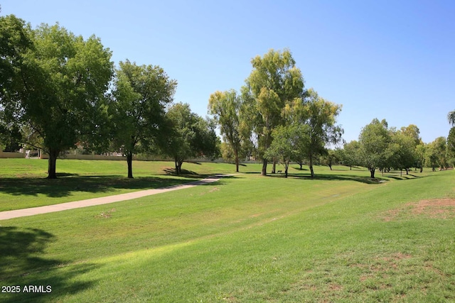 surrounding community featuring a yard