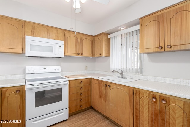 kitchen with sink, white appliances, ceiling fan, and light wood-type flooring