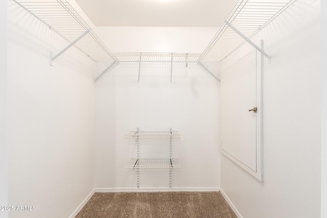 spacious closet with carpet floors