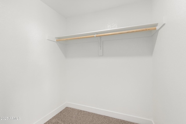 3249 E Nisbet Rd, Phoenix, AZ 85032 - spacious closet with carpet