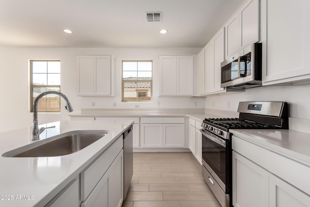 kitchen featuring a sink, visible vents, plenty of natural light, and stainless steel appliances