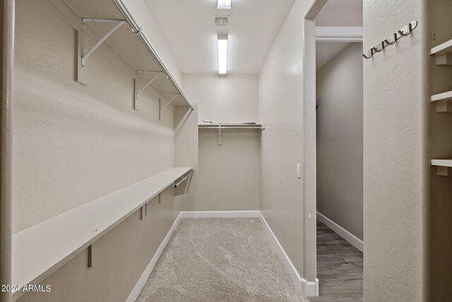 spacious closet with carpet flooring