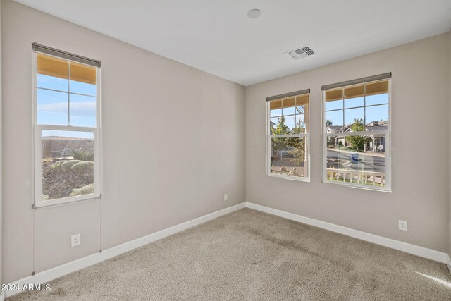 carpeted empty room with a healthy amount of sunlight