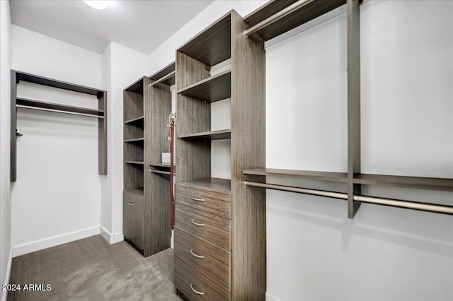 walk in closet with carpet