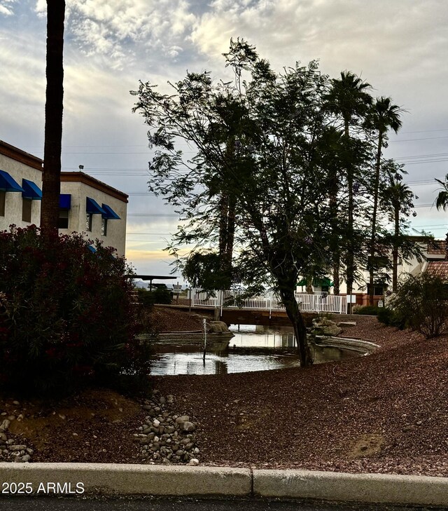 12123 W Bell Rd Unit 337, Surprise, AZ 85378 - view of yard