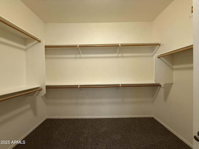 spacious closet featuring dark colored carpet