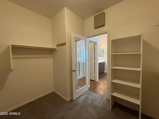 spacious closet with carpet