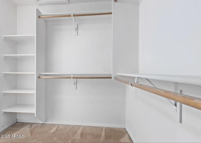 2004 N 108th Dr, Avondale, AZ 85392 - spacious closet featuring carpet floors