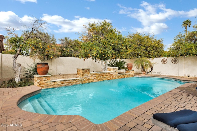 view of pool featuring a fenced in pool, a patio, and a fenced backyard