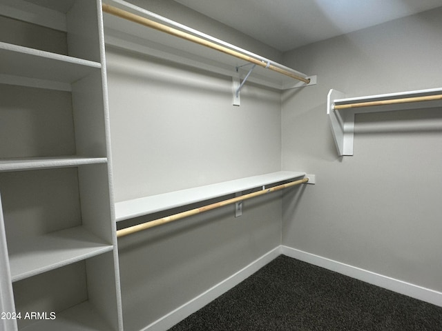 walk in closet featuring carpet