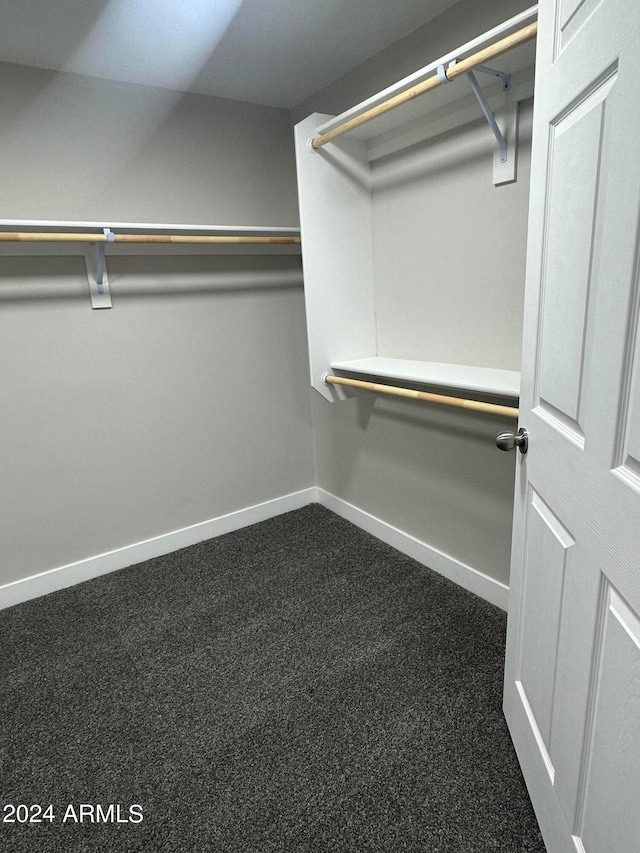 walk in closet with carpet