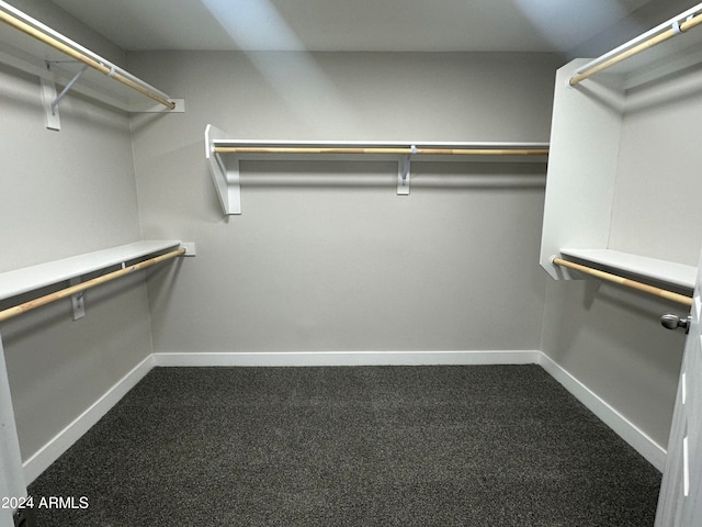 spacious closet with carpet flooring