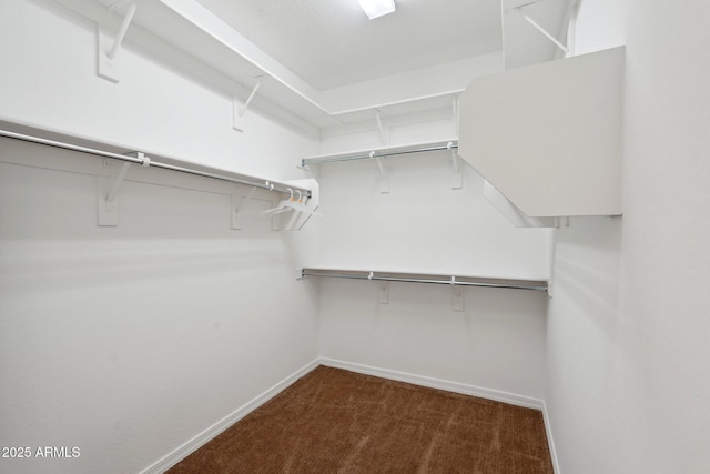 spacious closet with carpet floors