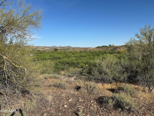 Listing photo 3 for 215 Howard Court -, Wickenburg AZ 85390