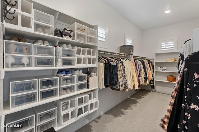 walk in closet with carpet