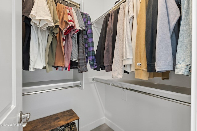 view of spacious closet