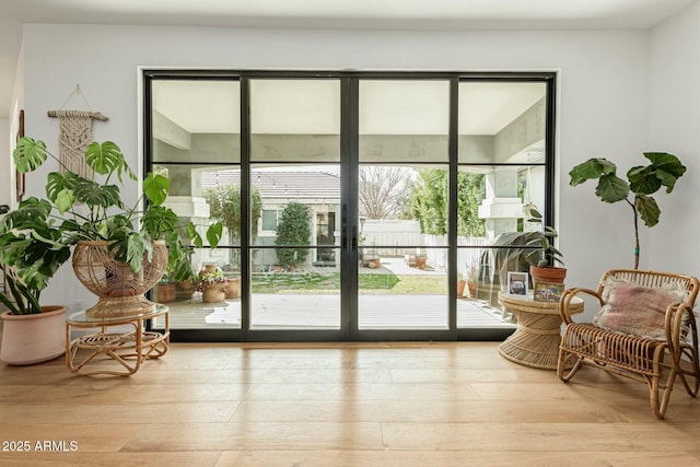 doorway to outside featuring light wood-type flooring and plenty of natural light