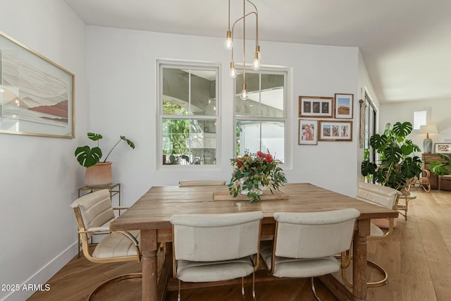 dining room with baseboards and wood finished floors