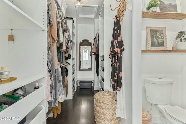 spacious closet with attic access and dark wood-style flooring