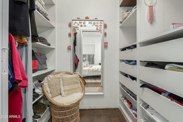 walk in closet featuring dark wood-style floors