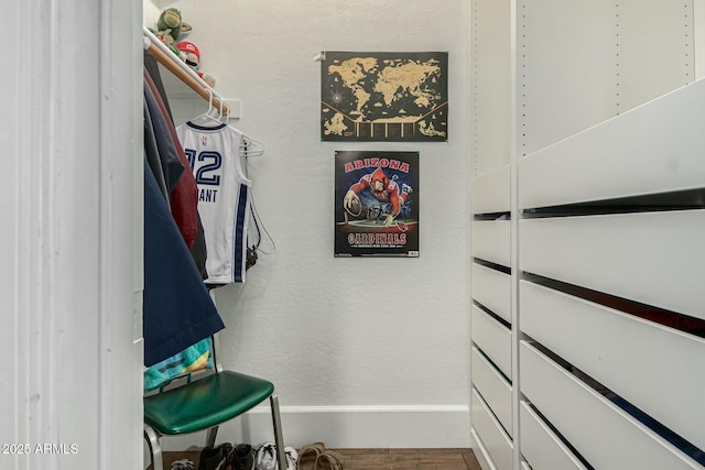 spacious closet featuring wood finished floors