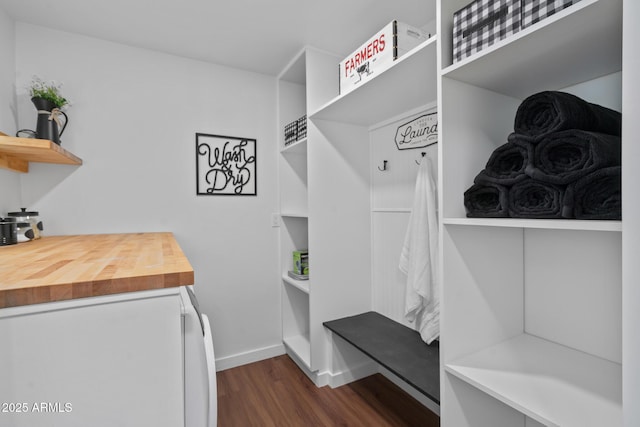 mudroom with dark hardwood / wood-style floors