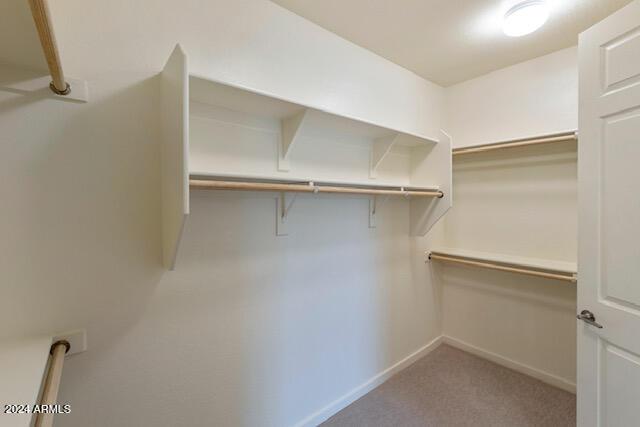 walk in closet with light colored carpet