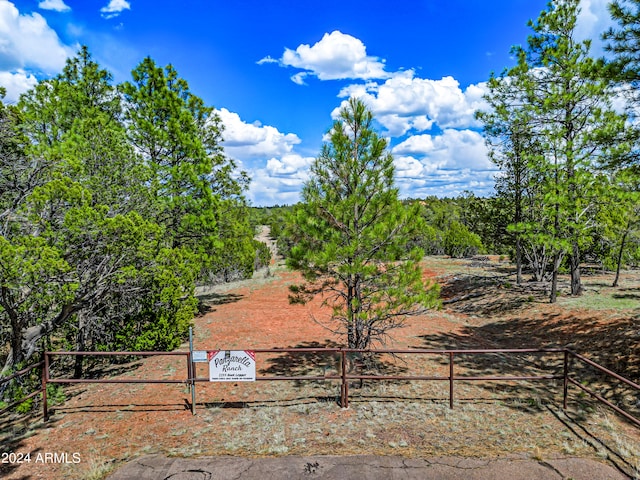 Listing photo 2 for 2255 Bootlegger Unit 1, Overgaard AZ 85933