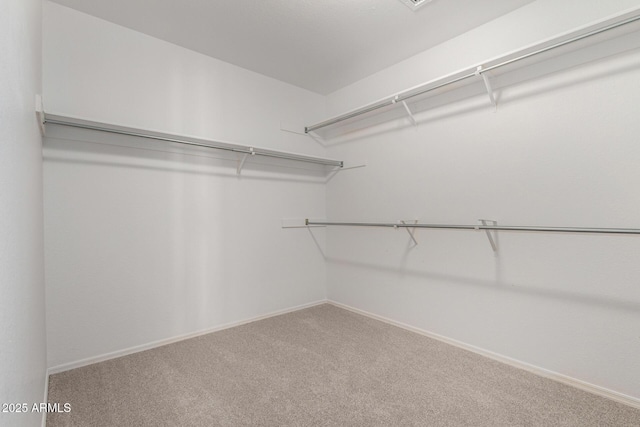 walk in closet featuring carpet floors