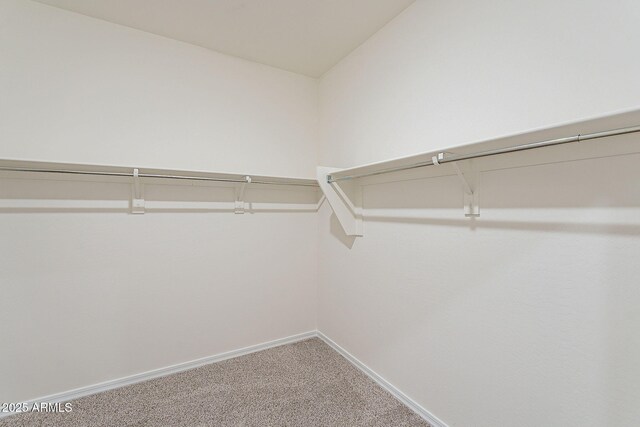 19354 W Coolidge St, Litchfield Park, AZ 85340 - spacious closet with carpet floors