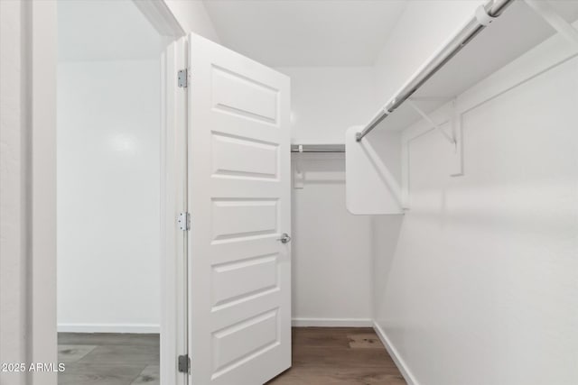 spacious closet featuring dark hardwood / wood-style floors