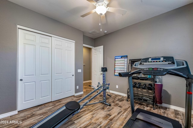 exercise room featuring ceiling fan and hardwood / wood-style flooring