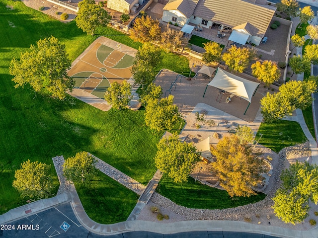 bird's eye view