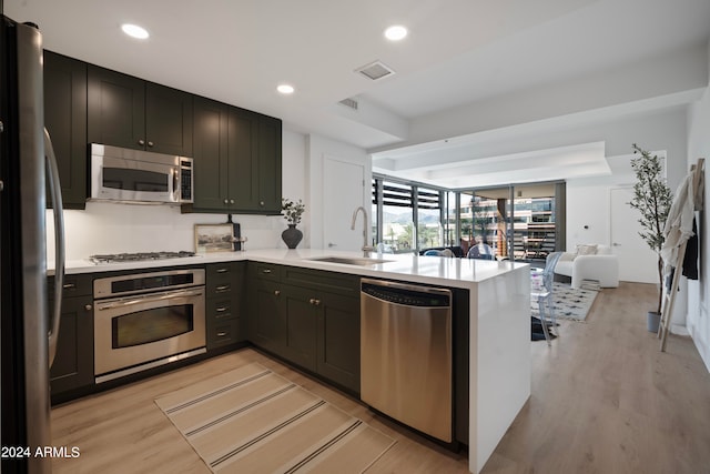 kitchen featuring kitchen peninsula, light hardwood / wood-style floors, sink, and stainless steel appliances