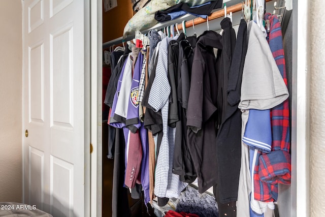 view of closet