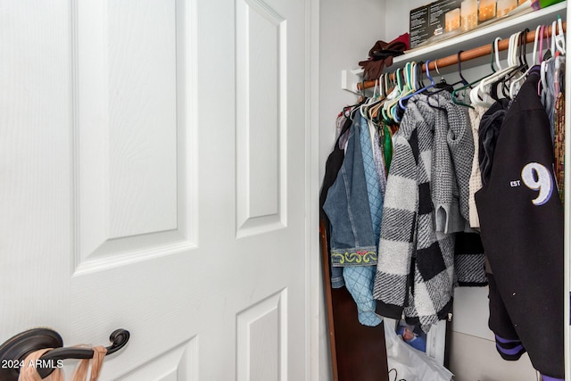 view of walk in closet