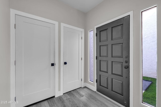 foyer with a healthy amount of sunlight and light wood-type flooring