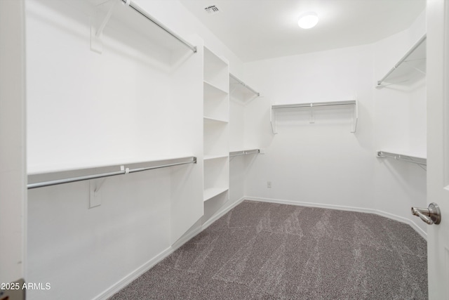 21532 N 262nd Ln, Buckeye, AZ 85396 - walk in closet featuring dark carpet