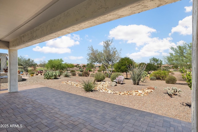 21532 N 262nd Ln, Buckeye, AZ 85396 - view of patio