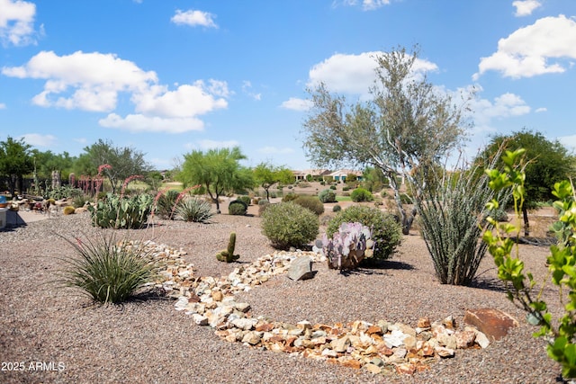 21532 N 262nd Ln, Buckeye, AZ 85396 - view of yard