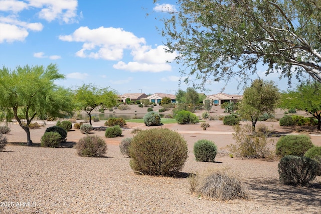 21532 N 262nd Ln, Buckeye, AZ 85396 - view of yard