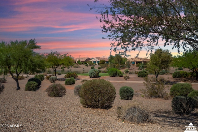 21532 N 262nd Ln, Buckeye, AZ 85396 - view of yard at dusk