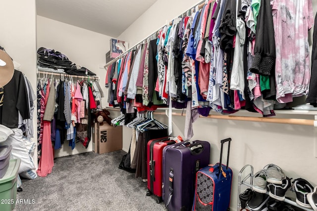 17005 S Coleman St, Phoenix, AZ 85045 - spacious closet featuring carpet floors