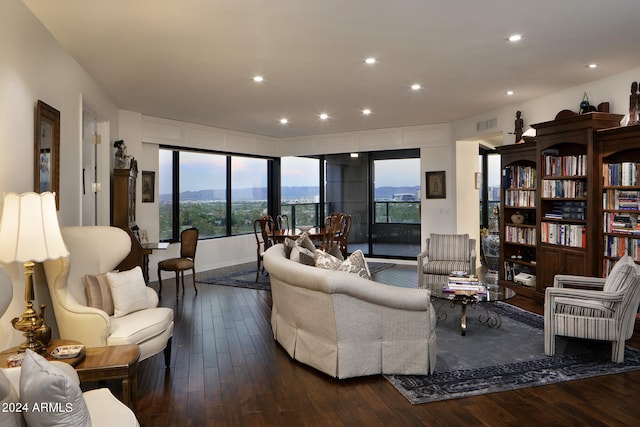 living room with a mountain view and dark hardwood / wood-style floors